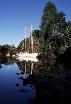 New Zealand - New Zealand - North island - Kerikeri / KKE - Bay of Islands: Yach on the inlet (photographer: Rob Neil)