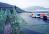 Norway / Norge - Balestrand (Sogn og Fjordane): fishing gear (photo by Michelle Murphy)