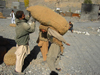 Sust / Sost, Gojal tehsil, Hunza valley, Northern Areas / FANA - Pakistan-administered Kashmir: loading potatoes near the Asia Star hotel - KKH - photo by D.Steppuhn