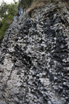 Boquete, Chiriqu Province, Panama: rock formation used by locals for climbing and rappelling - interlocking basalt columns, the result of an ancient volcanic eruption - photo by H.Olarte