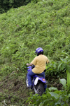 Capira, Panama province: country motorcycle rider - photo by H.Olarte