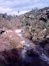 Portugal - Candosa: rapids on the river Seia - rpidos no rios Seia - photo by M.Durruti