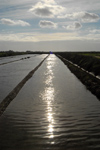 Tavira - Algarve - Portugal - saltpans - salinas - photo by M.Durruti