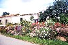 Portugal - Algarve - Fonte da Venda (Concelho de Silves): country garden - jardim rural - photo by T.Purbrook