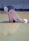 Portugal - Lisbon: esttua banhando-se / statue bathing - Parque das Naes - photo by F.Rigaud