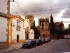 Alter do Cho: the castle - overcast day / castelo - photo by M.Durruti