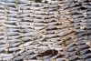 Portugal - Nazare: sardines drying in the sun / armada de prata - sardinhas a secar ao sol - photo by M.Durruti