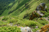 Russia - Altai republic, near village Maima, mountain Chertov palec (Devil's finger) - slope - photo by M.Kazantsev