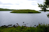 Scotland - Islay Island - Finlaggan: Council Island of the Lord of the Isles was reached by means of a stone causeway just under the surface of the water - excavations have revealed an iron age