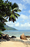 Mahe, Seychelles: Baie Beau Vallon - tropical beach - photo by M.Torres