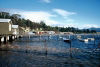 Tasmania - Australia - Hobart: boat sheds at Cornelius Bay (photo by S.Lovegrove)