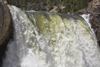 Yellowstone National Park, Wyoming, USA: the top of the powerful Lower Yellowstone Falls - crest - photo by C.Lovell