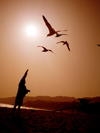 Malibu (California): beach - feeding the birds - Los Angeles County - Photo by G.Friedman