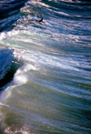 USA - California: surfer waiting for a wave - surfing - photo by J.Fekete