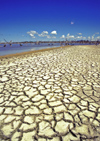 Venezuela - Isla de Margarita - Nueva Esparta: Caribbean dry mud beach - photo by A.Walkinshaw