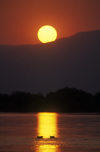 Zambezi River, Matabeleland North province, Zimbabwe: a pod of Hippos seem to be enjoying this magnificent sunset - photo by C.Lovell